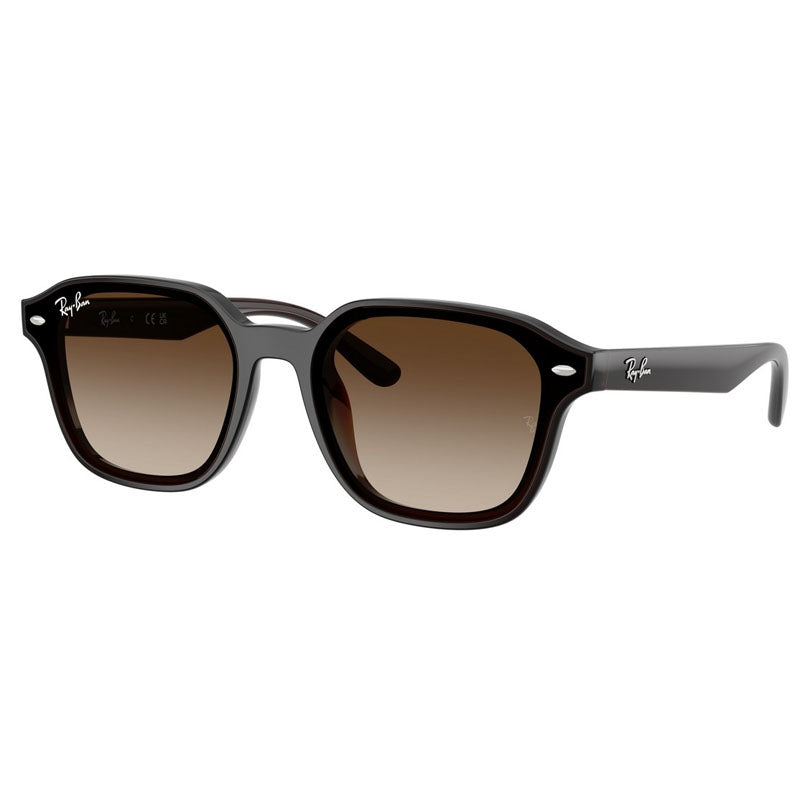 Occhiale da Sole Ray Ban, Modello: 0RB4458D Colore: 71413