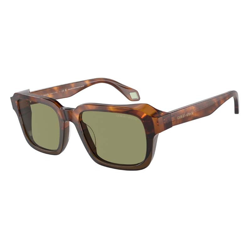Occhiale da Sole Giorgio Armani, Modello: 0AR8194U Colore: 598814