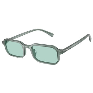 Occhiale da Sole Emporio Armani, Modello: 0EA4253U Colore: 627173