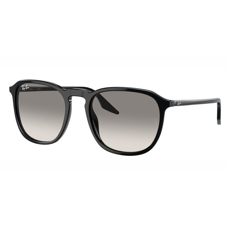 Occhiale da Sole Ray Ban, Modello: 0RB2203 Colore: 90132