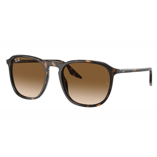 Occhiale da Sole Ray Ban, Modello: 0RB2203 Colore: 90251