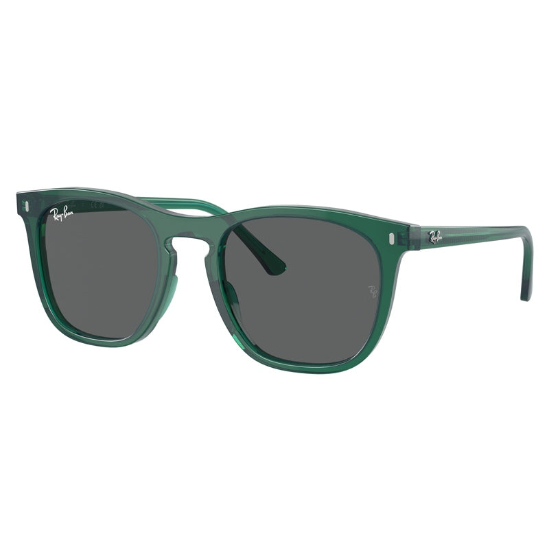 Occhiale da Sole Ray Ban, Modello: 0RB2210 Colore: 6615B1