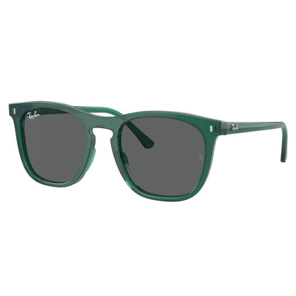 Occhiale da Sole Ray Ban, Modello: 0RB2210 Colore: 6615B1