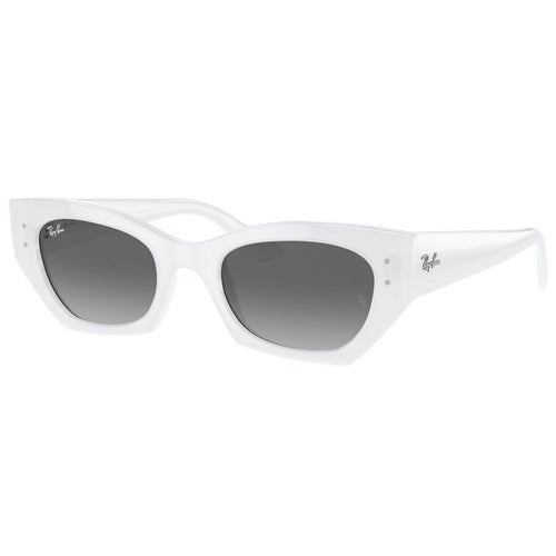 Occhiale da Sole Ray Ban, Modello: 0RB4430 Colore: 675911