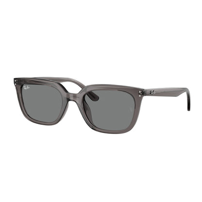 Occhiale da Sole Ray Ban, Modello: 0RB4439D Colore: 667587