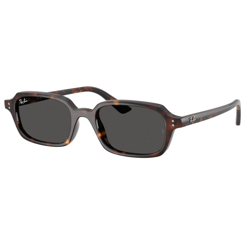 Occhiale da Sole Ray Ban, Modello: 0RB4455 Colore: 135987