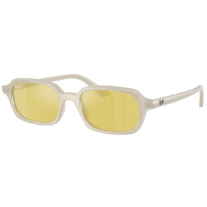 Occhiale da Sole Ray Ban, Modello: 0RB4455 Colore: 68086D