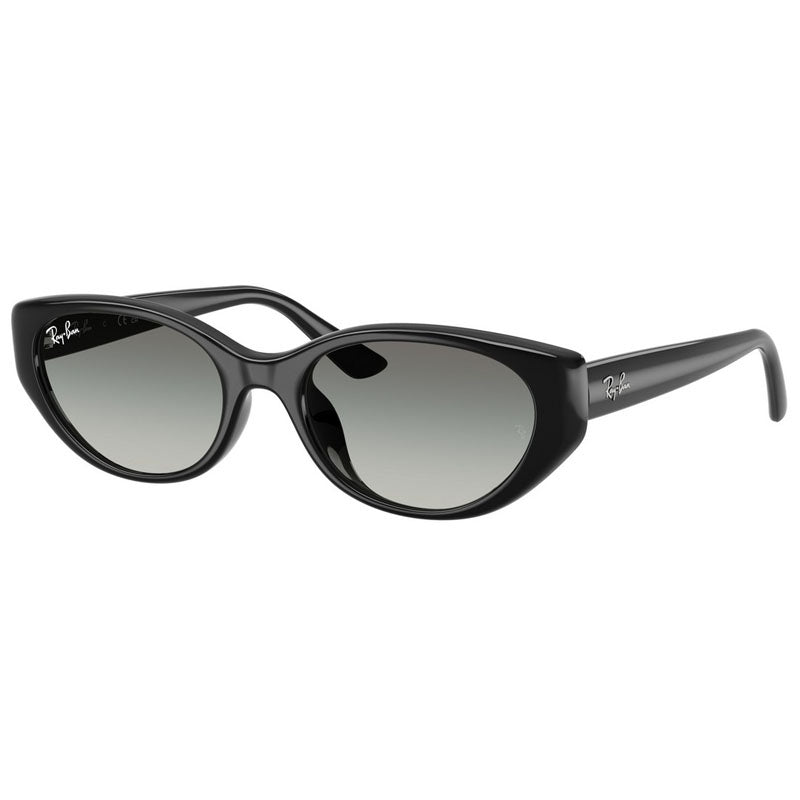 Occhiale da Sole Ray Ban, Modello: 0RB4457D Colore: 667711