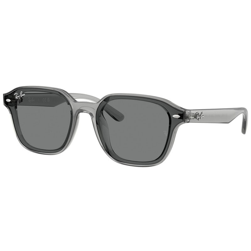 Occhiale da Sole Ray Ban, Modello: 0RB4458D Colore: 645087