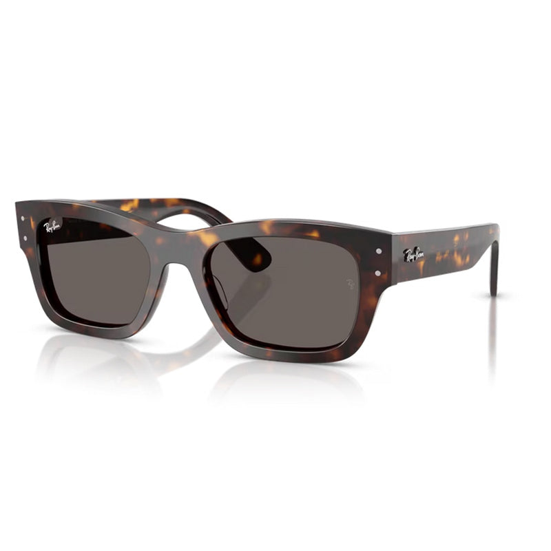 Occhiale da Sole Ray Ban, Modello: 0RB7683S Colore: 902B1