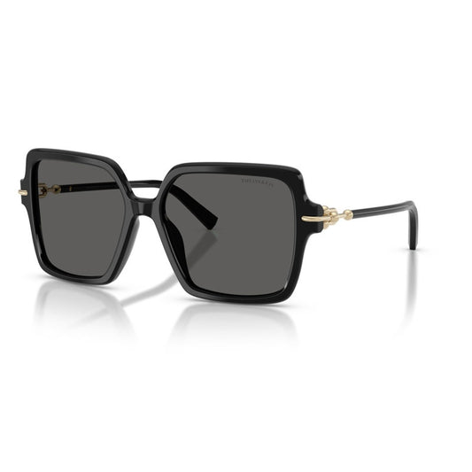 Occhiale da Sole Tiffany, Modello: 0TF4260U Colore: 8001S4