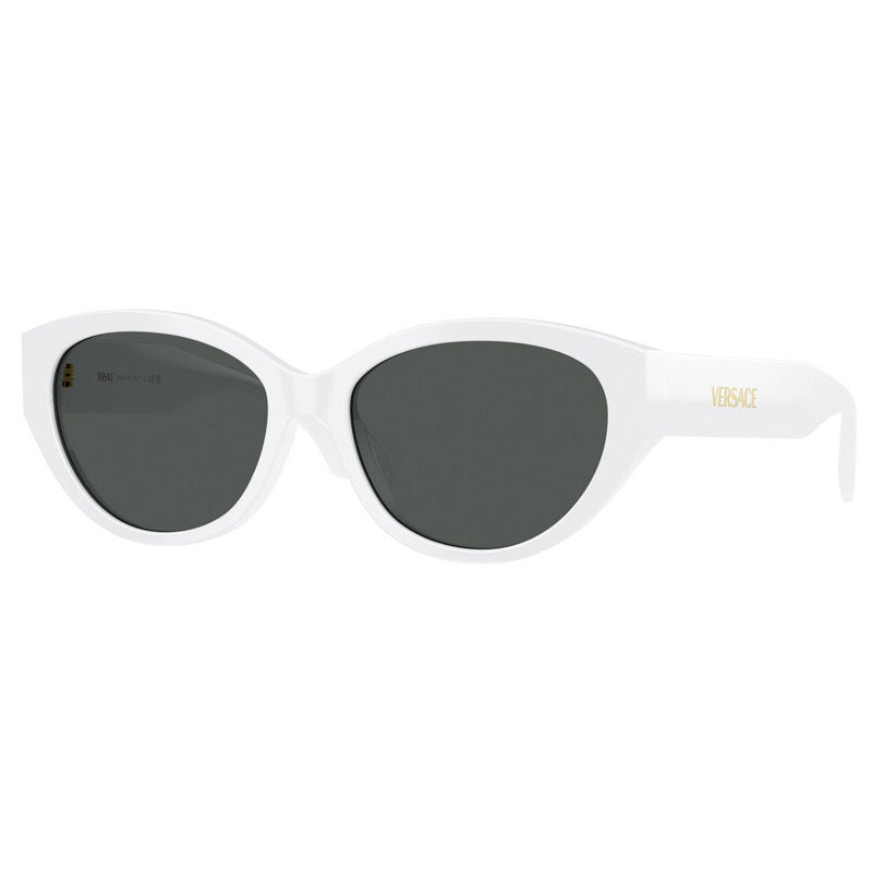 Occhiale da Sole Versace, Modello: 0VE4495D Colore: 31487