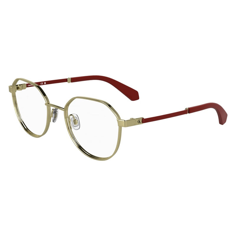 Occhiale da Vista Calvin Klein Jeans, Modello: CKJ25304 Colore: 717