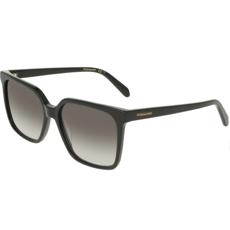 Occhiale da Sole Salvatore Ferragamo, Modello: SF2102S Colore: 001